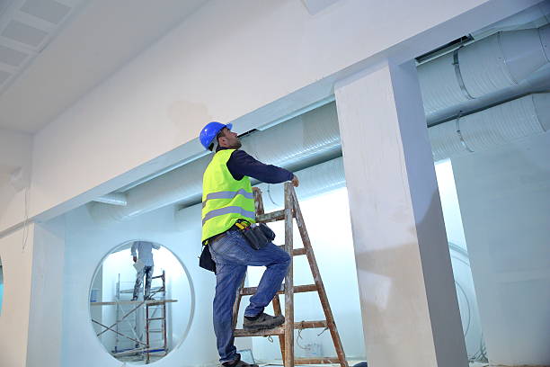 Florissant, MO Mold Removal Company